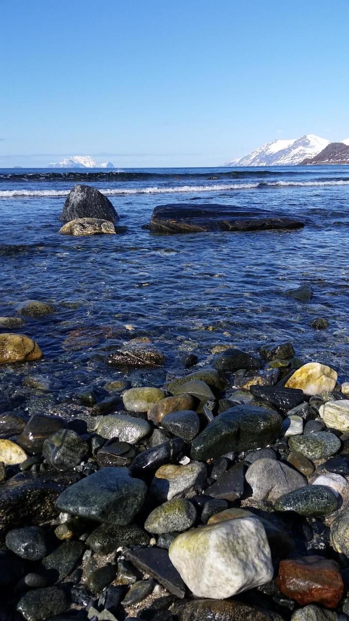 Lyngen Fjordcamp Βίλα Nord-Lenangen Εξωτερικό φωτογραφία